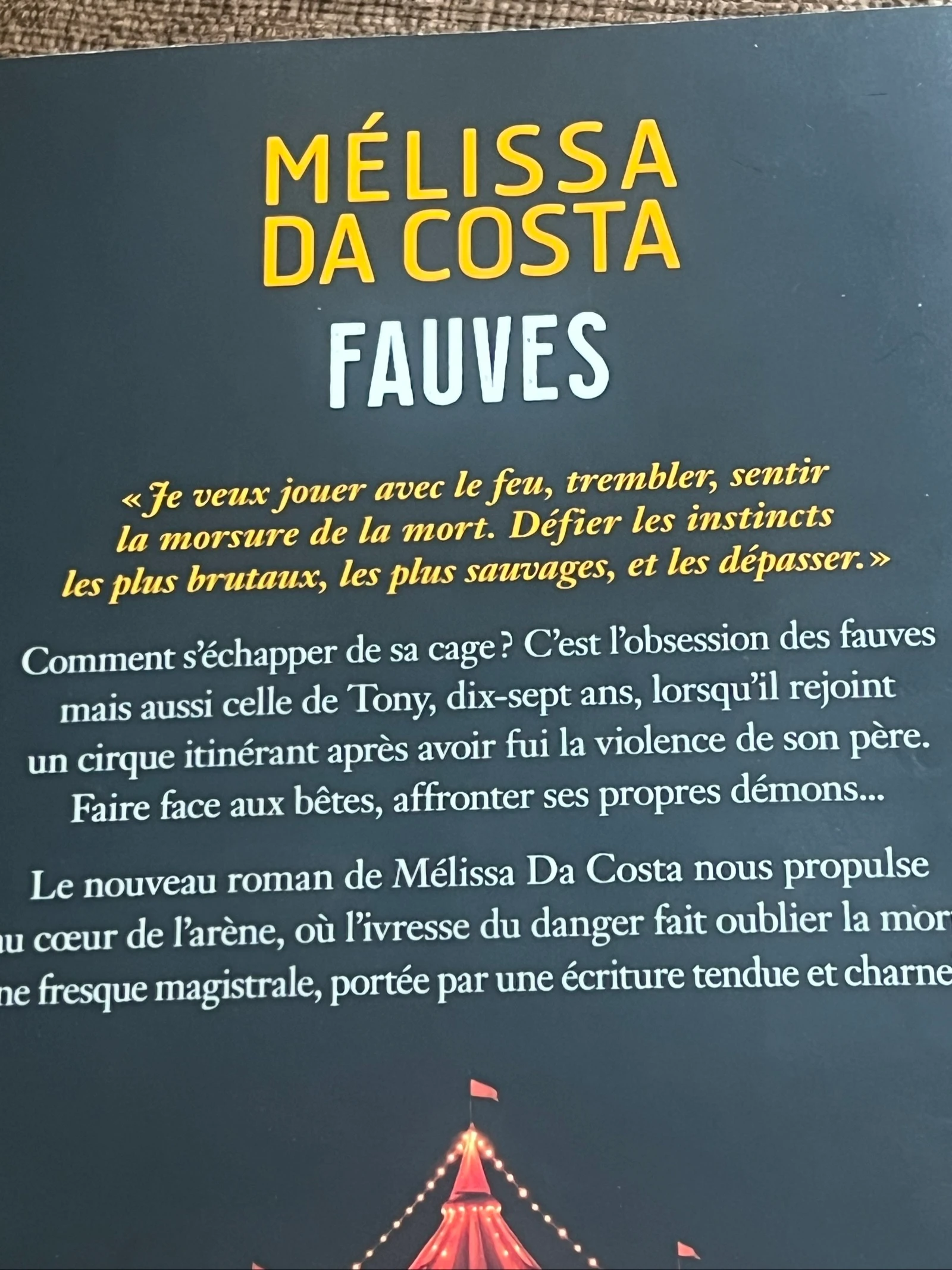 Fauve Book Melissa Da Costa – photo 4